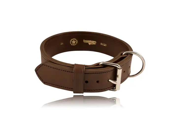 Boston Leather Canine Collar Agitation2 24